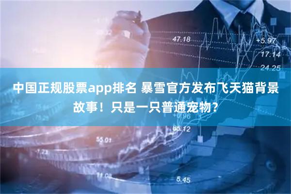 中国正规股票app排名 暴雪官方发布飞天猫背景故事！只是一只普通宠物？